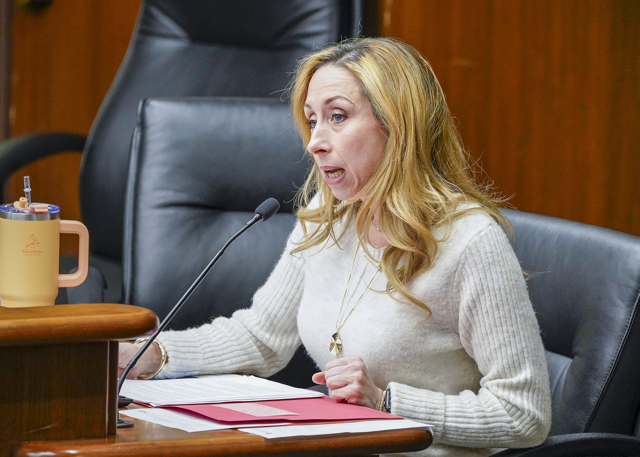 Rep. Kaela Berg tells the House public safety committee about HF2609, a bill she sponsors that would, in part, increase the penalty for a transfer of a pistol or semiautomatic military-style assault weapon to an ineligible person. (Photo by Andrew VonBank)